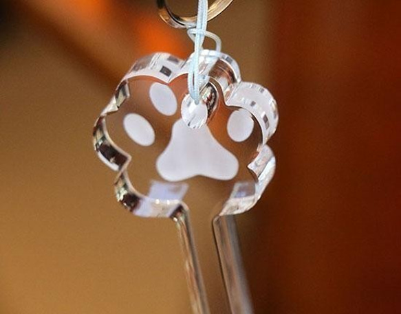 【お得3個セット】ドアオープナー　非接触　多機能　アクリル　キーホルダー　厚み10mm　猫の手　猫　肉球 5枚目の画像