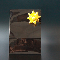 真鍮メリケンインディアンコンチョキーホルダー 6枚目の画像