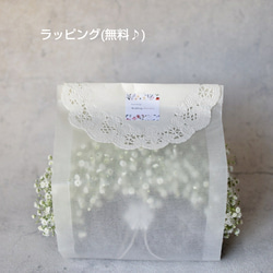 冬限定販売♪(2月末まで)＊カスミソウのふわふわバック《シルバーフォックス》先着3名様 スワッグ付き！Creema限定 6枚目の画像