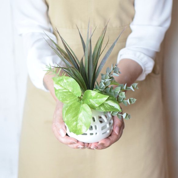 白いパイナップルみたい♪ 観葉植物寄せ植え風グリーンインテリア＊Creema限定 5枚目の画像
