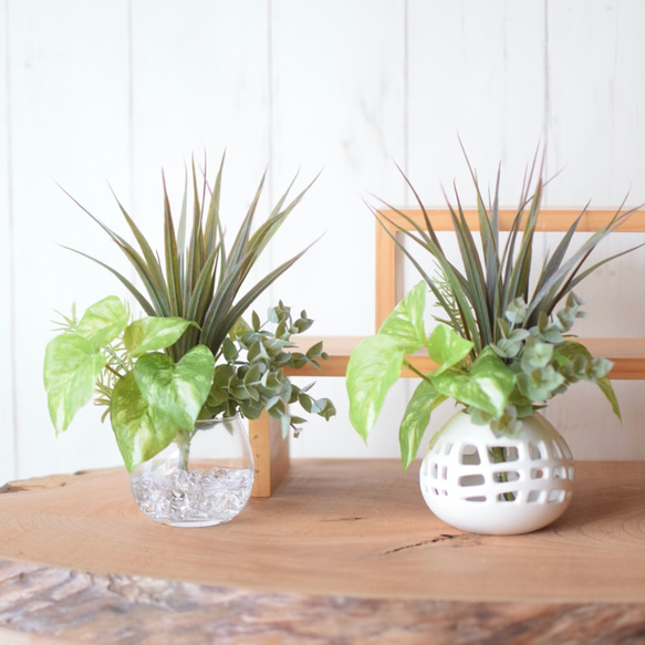 白いパイナップルみたい♪ 観葉植物寄せ植え風グリーンインテリア＊Creema限定 10枚目の画像