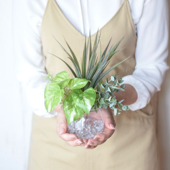 涼しげ♪氷みたいなストーン入り♪観葉植物フェイクウォーターアレンジ【デスク回り トイレに最適！】 3枚目の画像