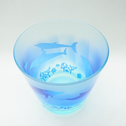 免費大玻璃杯藍色海豚 第6張的照片