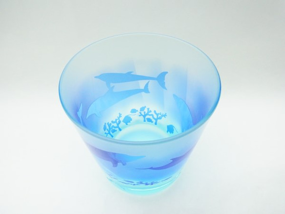 免費大玻璃杯藍色海豚 第6張的照片