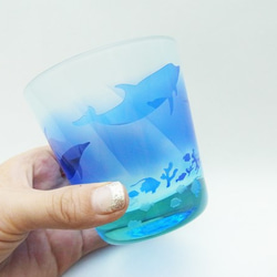 免費大玻璃杯藍色海豚 第7張的照片