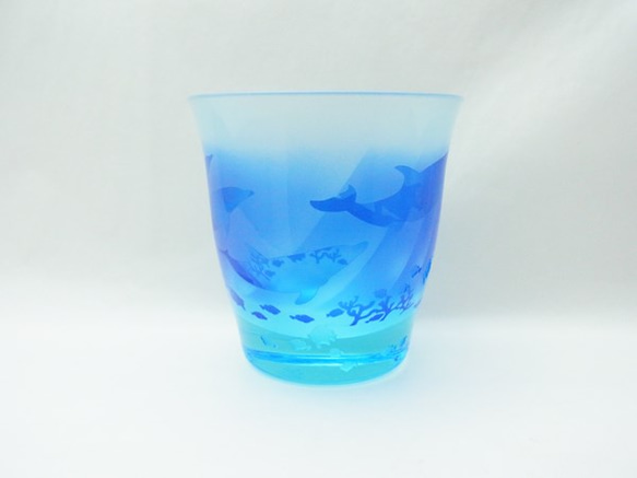 免費大玻璃杯藍色海豚 第9張的照片