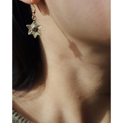 Star earrings (ピアス) 1枚目の画像