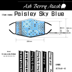 Paisley Sky Blue (6type Ribbon)立体型マスク/夏用 Ash Berry Mask 3枚目の画像