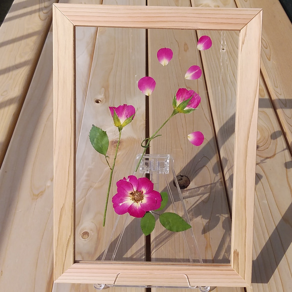 【送料無料】ピンクの　バラの　透明　木製フレーム　 2枚目の画像