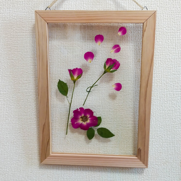 【送料無料】ピンクの　バラの　透明　木製フレーム　 3枚目の画像