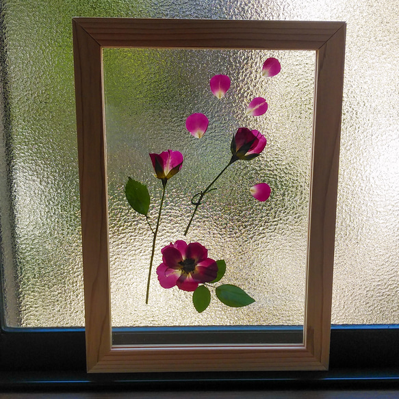 【送料無料】ピンクの　バラの　透明　木製フレーム　 4枚目の画像
