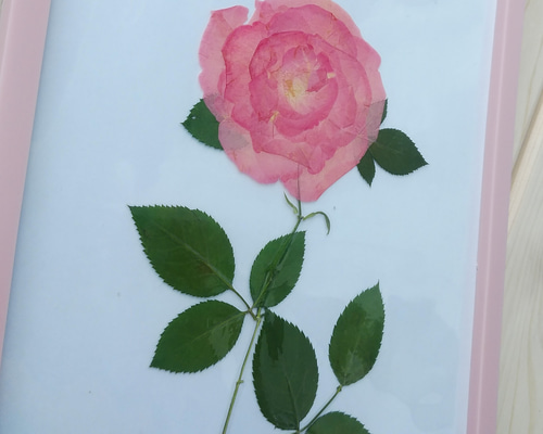 1_a552c16c0f0b424a7c6ac42aba41