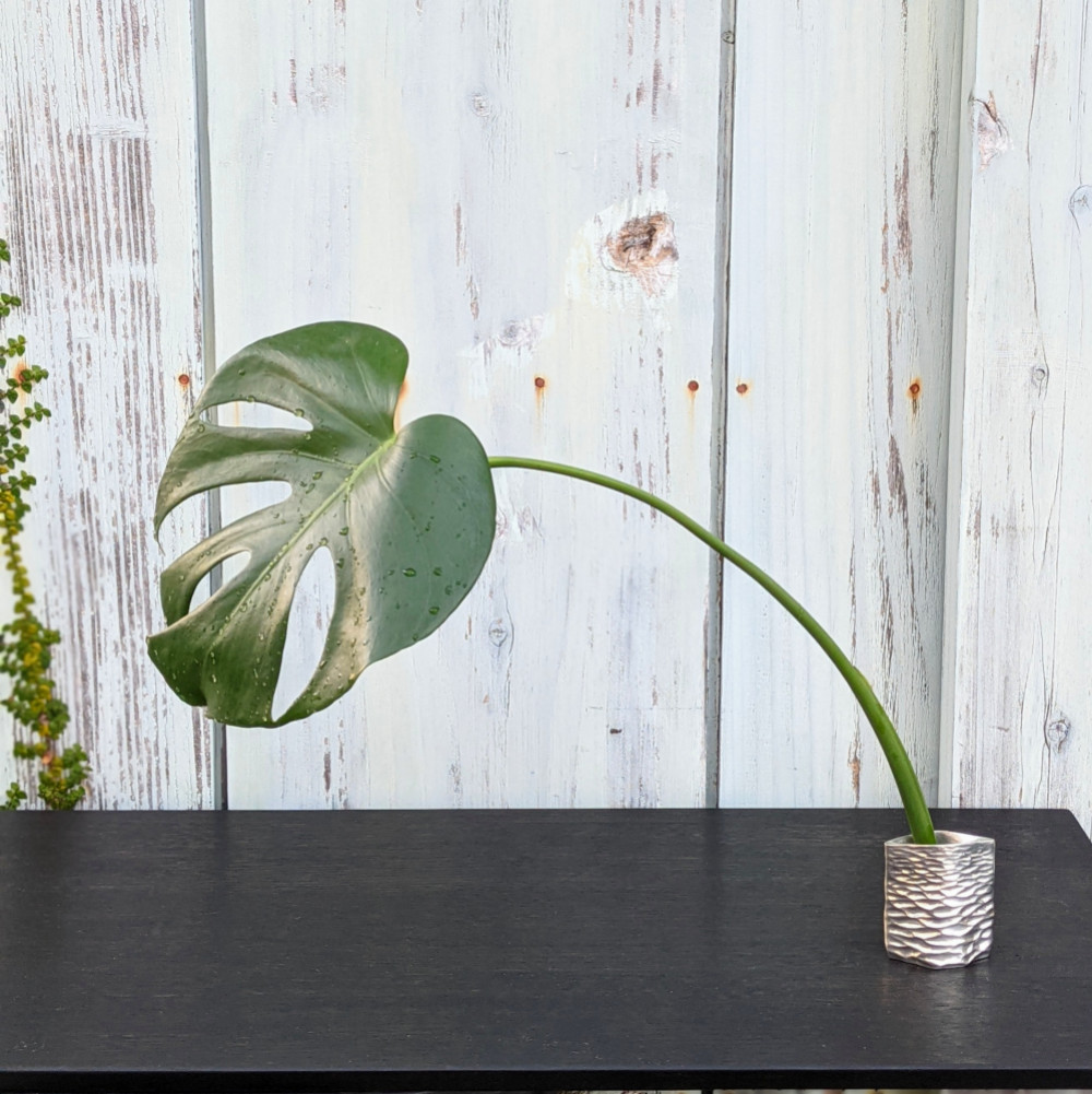 純錫の一輪挿し『ヒルギ』