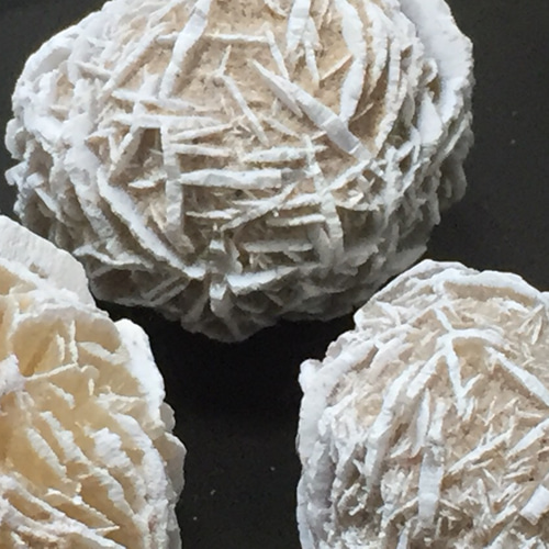 デザートローズ 新品未使用 Desert Rose｜デザートローズの通販 - ZOZOTOWN