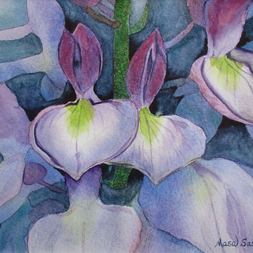 油絵F８号蘭の花 油彩画 「 胡蝶蘭 」 原画 F8号 額付 （楽天市場】胡蝶蘭（絵画