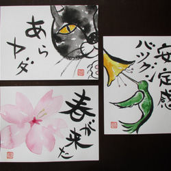 オリジナル絵手紙3点セット No.04（覗き見猫、桜、ハチドリ） 絵画