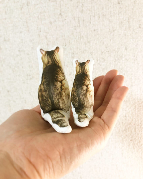 ◆ おすわり キジトラ あいも【弟】（ ねこ マグネット ）◆ きじとら 猫 2枚目の画像