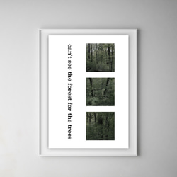 グラフィックデザインポスター can't see the forest / 森林 緑 写真 コラージュ スタイリッシュ 5枚目の画像