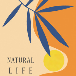 グラフィックデザインポスター NATURAL LIFE/ サマー ヤシ ボタニカル 太陽 ナチュラル オレンジ イエロー 7枚目の画像