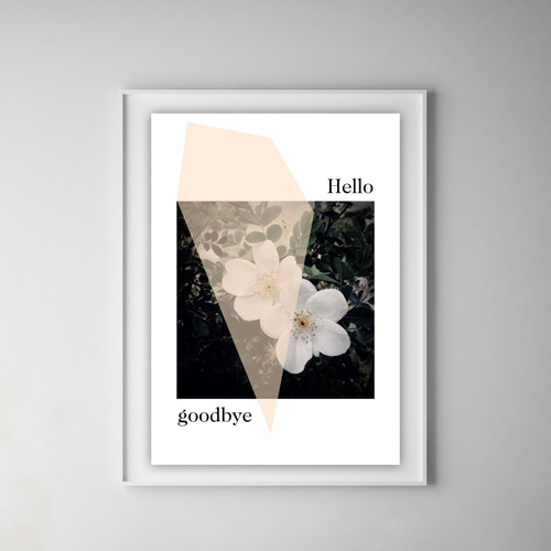 グラフィックデザインポスター Hello goodbye/白い花 植物 自然 写真