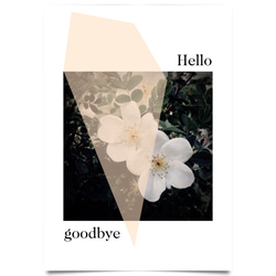 グラフィックデザインポスター Hello goodbye/白い花 植物 自然 写真 フォトコラージュ モダンデザイン 6枚目の画像