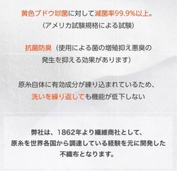 【再販‼︎】四季彩✨肌馴染みの良い水色(無地①カラーV)手紡ぎ風ムラ糸生地　オーダーマスク　サイズ・裏地選択可　　 10枚目の画像