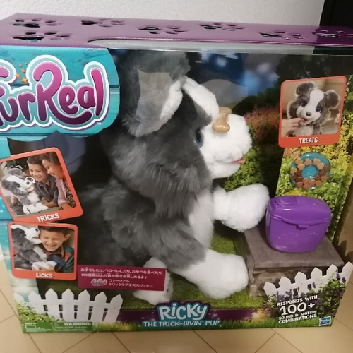ファーリアルリッキー