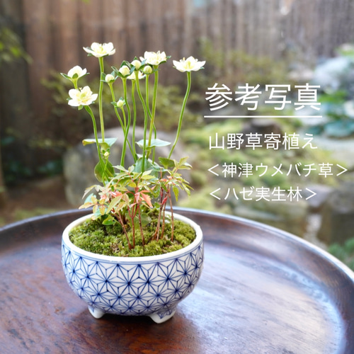 染付籠六つ目紋植木鉢（A）網代縁描きあり 口径約11.5cm 高さ約