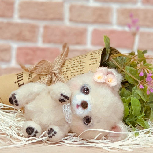 くまちゃん 可愛い 真丸 ぷっくり グラスアイ レースリボン