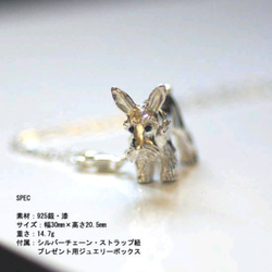 Tokotoko Schnauzer Charm Pendant 1 [免運費] 一款多功能吊墜，靈感來自一起行走的雪納瑞犬的外 第4張的照片