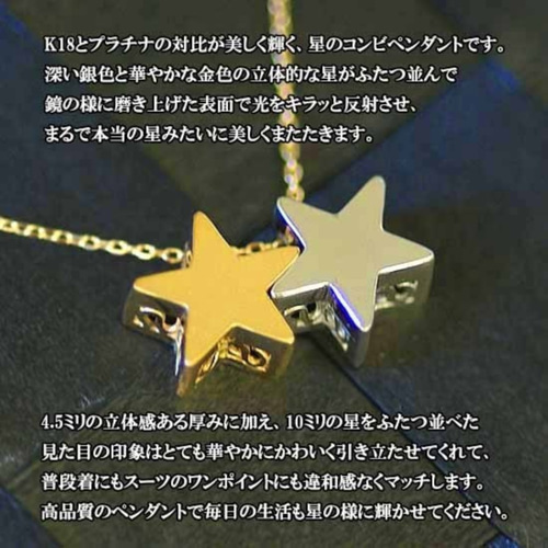 無料オリジナル刻印可☆大人の星座ペンダントヘッド/ゴールド K18イエローゴールド 星座ペンダント 獅子座 | 高品質 金・プラチナ