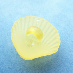 (3個) 15mm 貝殻のボタン 黄色 フランス製 ＊ 半透明 イエロー 2枚目の画像