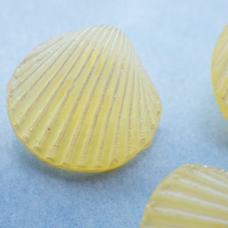 (3個) 15mm 貝殻のボタン 黄色 フランス製 ＊ 半透明 イエロー 3枚目の画像