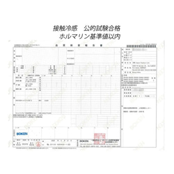 【再販‼︎2セット限定】【接触冷感 夏マスク】新幹線柄 立体マスク2枚セット 6枚目の画像