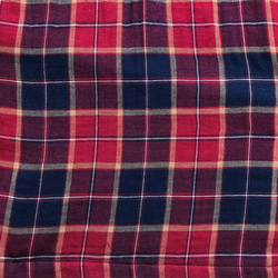 Long Skirt(tartan check) 第3張的照片