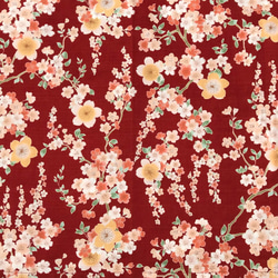 [日本模式] Hannari和華麗的分層裙子（Sakura Sakura：Amber） 第2張的照片
