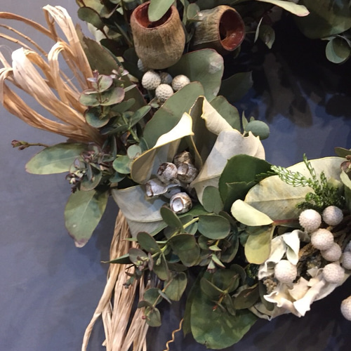 ドライフラワーリース＊ユーカリ＊ リース ノスタルジックの森 通販