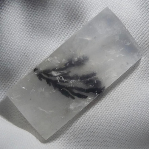 激レア デンドリティッククォーツ ⭐️ 忍石 樹枝入り水晶