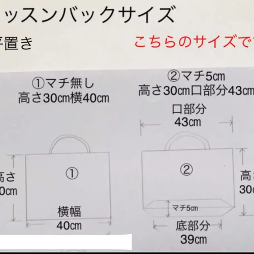 オーダーページ オシャレなレッスンバック 上履き入れ その他 入園入学