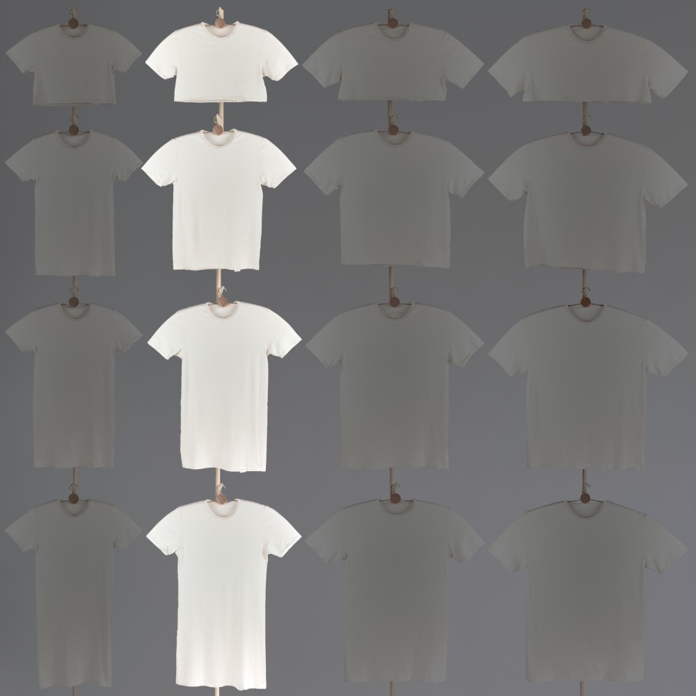 オーガニックコットンＴシャツ（幅 2・46cm）