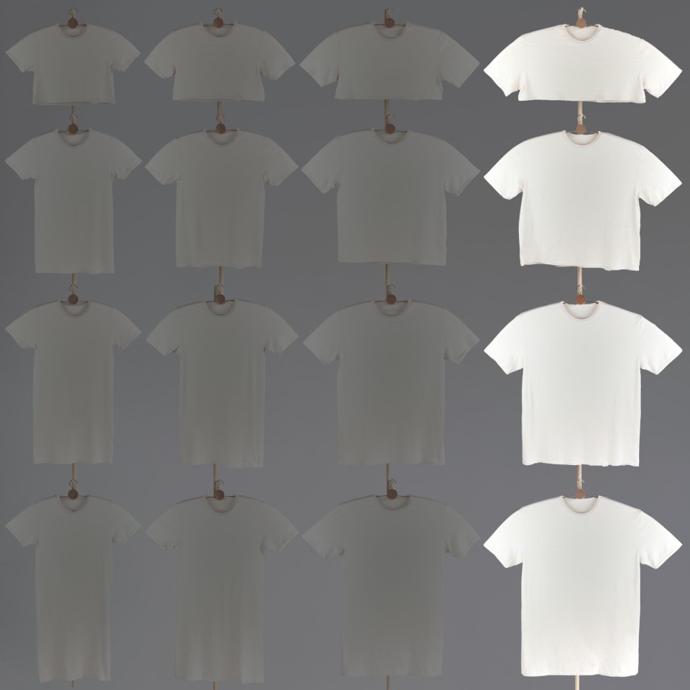 オーガニックコットンＴシャツ（幅 4・61cm） 6,460円