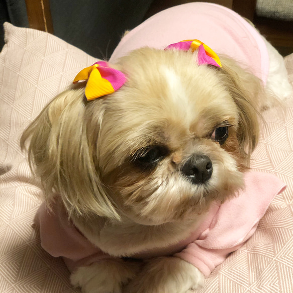 犬服・アクセサリー Fluffy 犬のヘアピン ペット服・アクセサリー Fluffy Peeps 通販