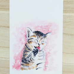 ポストカード 猫 【選べる3枚】『キゲンがイイ』 ねこ ペット 絵 イラスト 水彩 ハガキ 誕生日 メッセージ カード 1枚目の画像