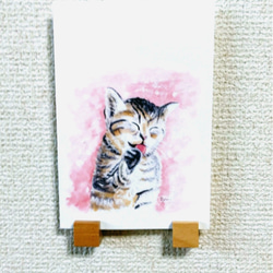 ポストカード 猫 【選べる3枚】『キゲンがイイ』 ねこ ペット 絵 イラスト 水彩 ハガキ 誕生日 メッセージ カード 2枚目の画像