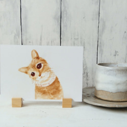 ポストカード 【選べる3枚】 コーヒー で描いています『やさしい気持ちに』  猫 絵 イラスト 水彩画 秋色  ハガキ 2枚目の画像