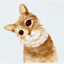 ポストカード 【選べる3枚】 コーヒー で描いています『やさしい気持ちに』  猫 絵 イラスト 水彩画 秋色  ハガキ 3枚目の画像