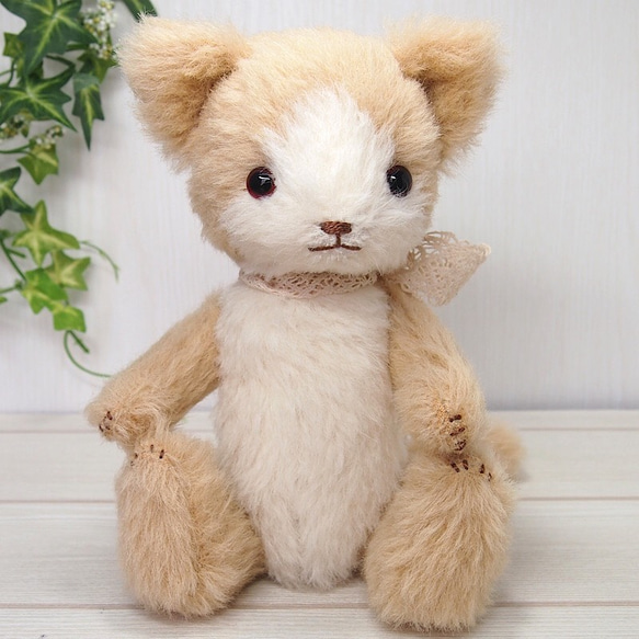 白茶猫さんハンドメイドテディベア ぬいぐるみ NAHO BEAR 通販 9449972