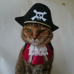 海賊コスプレ 2枚目の画像