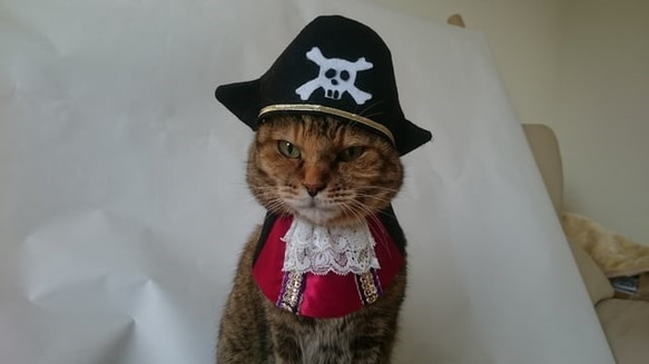 海賊コスプレ 2枚目の画像