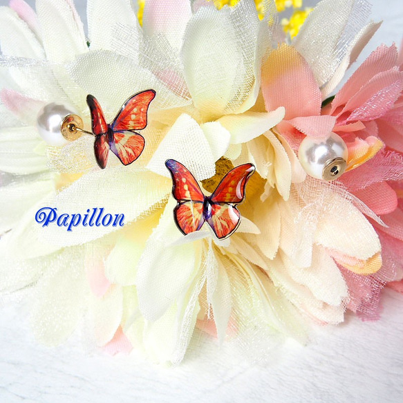 ☆煌めくモルフォ蝶とパールキャッチのピアス☆彡 1枚目の画像